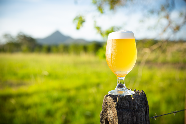 Wandana Craft Brewery Byron Bay Hinterland Mt Chincogan
